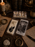 Time Traveller Wax Melt - Black Iris & Eau de Verbena